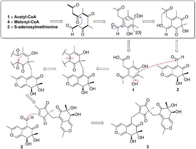 https://cdn.ncbi.nlm.nih.gov/pmc/blobs/bd91/8417894/8acb3b6946f7/fchem-09-734822-g006.jpg