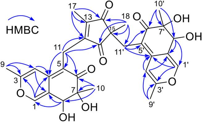 https://cdn.ncbi.nlm.nih.gov/pmc/blobs/bd91/8417894/a327e213ba2e/fchem-09-734822-g002.jpg