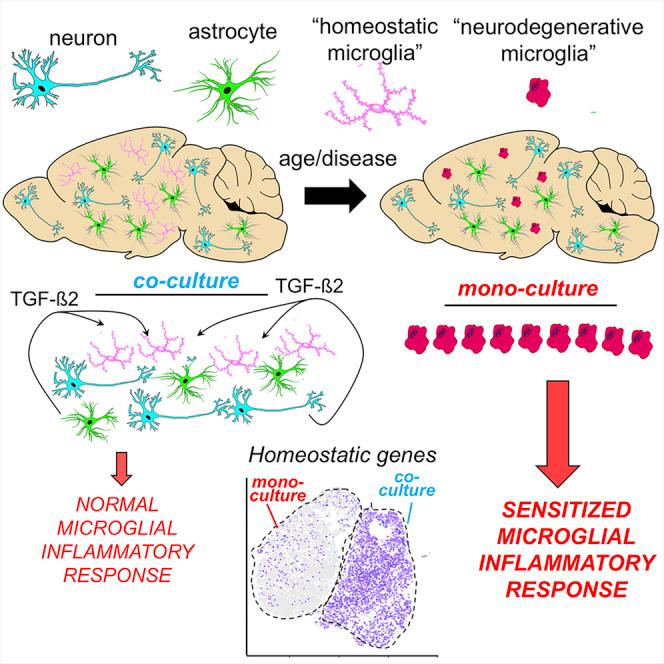 https://cdn.ncbi.nlm.nih.gov/pmc/blobs/bd93/7994374/31128da2b1f1/fx1.jpg