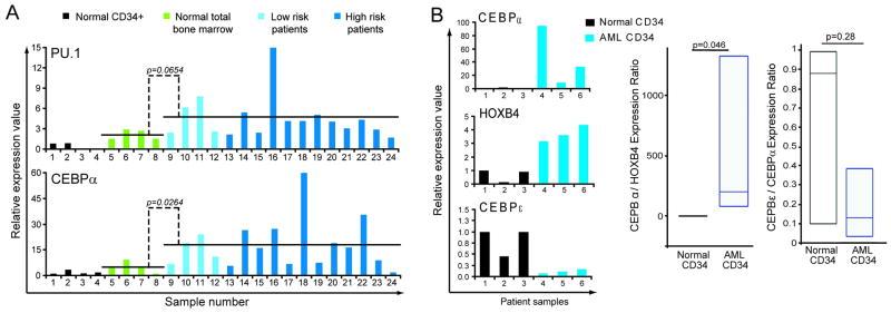 https://cdn.ncbi.nlm.nih.gov/pmc/blobs/bd95/3217177/945b6729653b/nihms307794f6.jpg