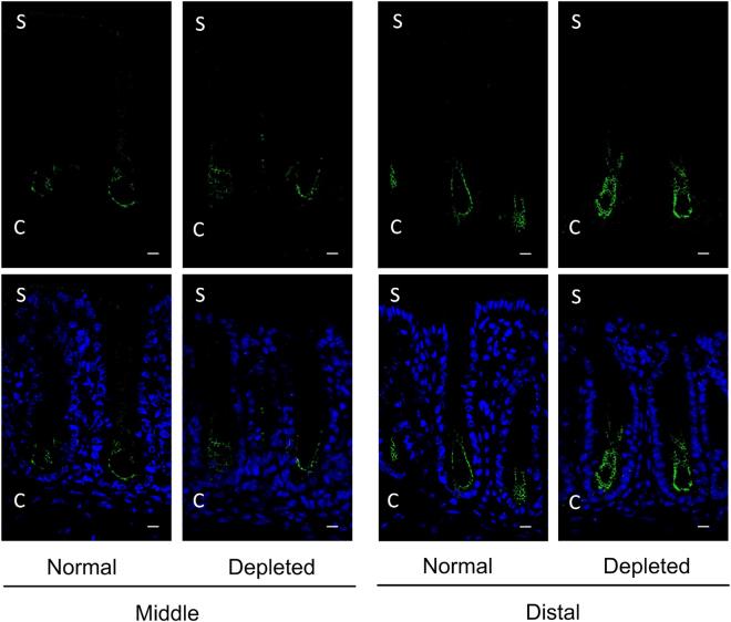 https://cdn.ncbi.nlm.nih.gov/pmc/blobs/bd98/5610316/a074934fbf9b/41598_2017_12494_Fig8_HTML.jpg