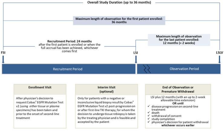 https://cdn.ncbi.nlm.nih.gov/pmc/blobs/bd9a/8268841/e5593cd432e2/cancers-13-03172-g001.jpg