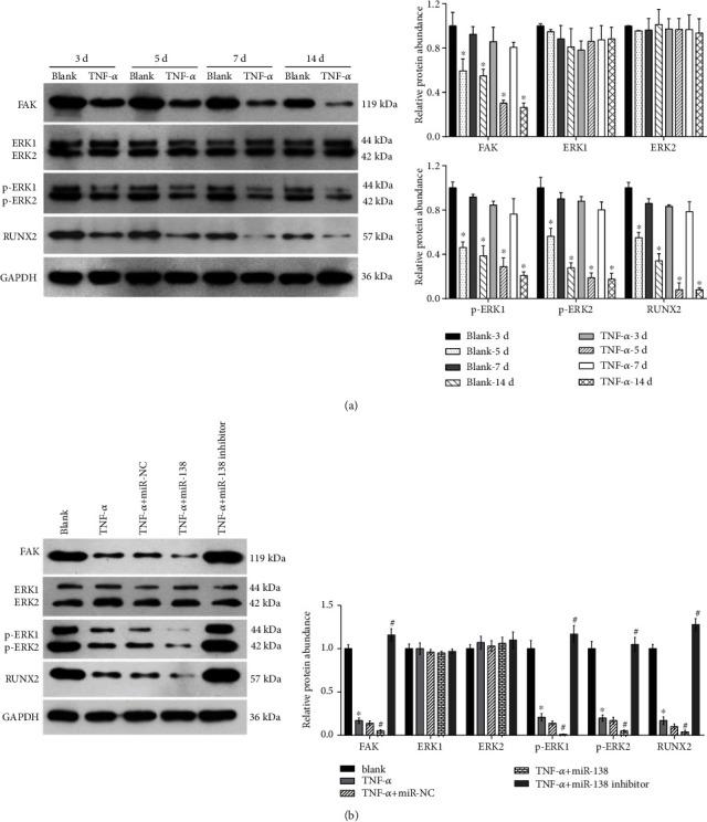 https://cdn.ncbi.nlm.nih.gov/pmc/blobs/bd9c/9286885/fec579964c20/BMRI2022-7230167.004.jpg