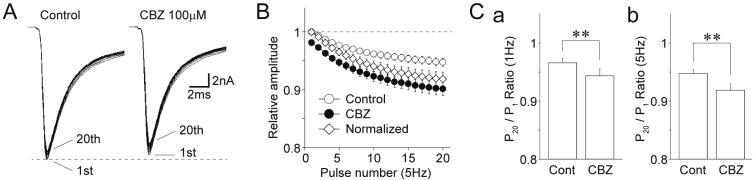 https://cdn.ncbi.nlm.nih.gov/pmc/blobs/bd9d/6205941/58e4e2cb6509/kjpp-22-649-g005.jpg