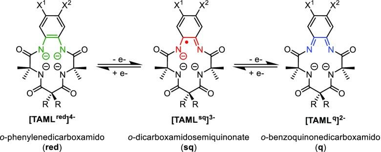 https://cdn.ncbi.nlm.nih.gov/pmc/blobs/bda3/6956250/c1749cc1dc9a/ja9b11715_0010.jpg