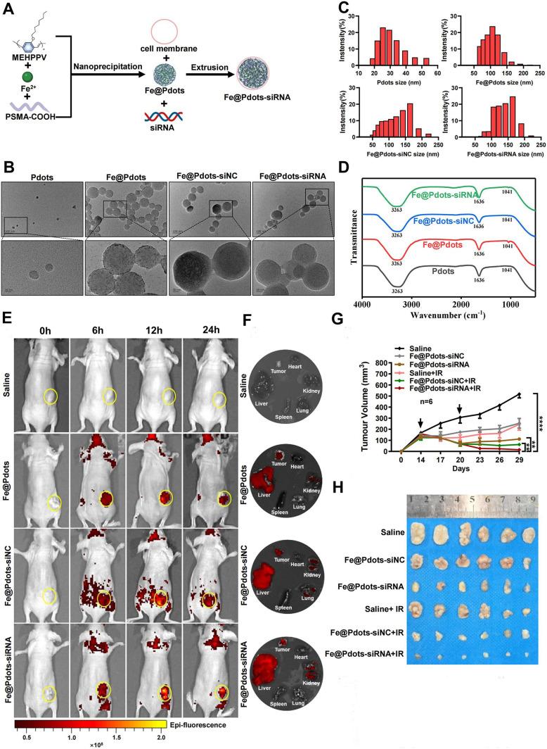 https://cdn.ncbi.nlm.nih.gov/pmc/blobs/bda4/12134383/78d4ffaf43e9/IJN-20-7021-g0003.jpg
