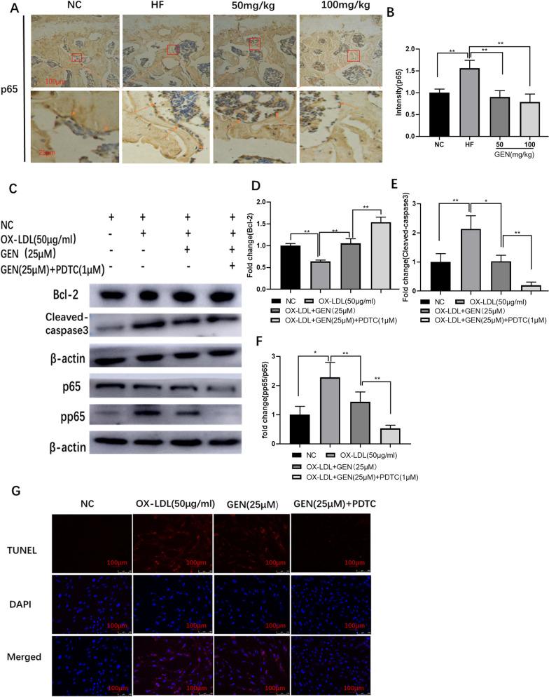 https://cdn.ncbi.nlm.nih.gov/pmc/blobs/bda6/10466864/ae4f400f51ab/13018_2023_4125_Fig3_HTML.jpg