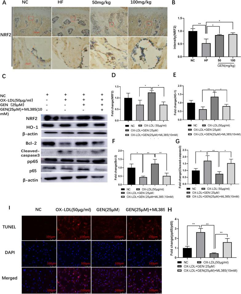 https://cdn.ncbi.nlm.nih.gov/pmc/blobs/bda6/10466864/d6f217c08fa7/13018_2023_4125_Fig4_HTML.jpg