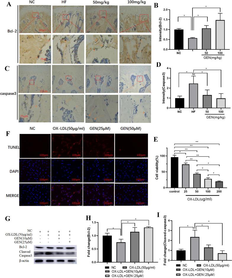 https://cdn.ncbi.nlm.nih.gov/pmc/blobs/bda6/10466864/e6824fd4f255/13018_2023_4125_Fig2_HTML.jpg