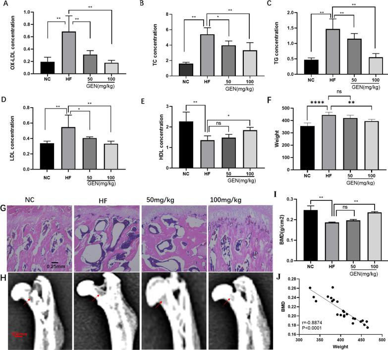 https://cdn.ncbi.nlm.nih.gov/pmc/blobs/bda6/10466864/f45a794170ea/13018_2023_4125_Fig1_HTML.jpg