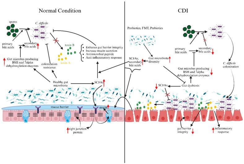 https://cdn.ncbi.nlm.nih.gov/pmc/blobs/bda6/10819375/cc49d79ac093/metabolites-14-00074-g001.jpg