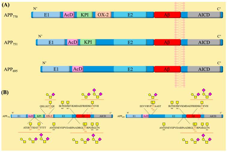 https://cdn.ncbi.nlm.nih.gov/pmc/blobs/bda6/12073284/38acd18ce4e6/molecules-30-01895-g003.jpg
