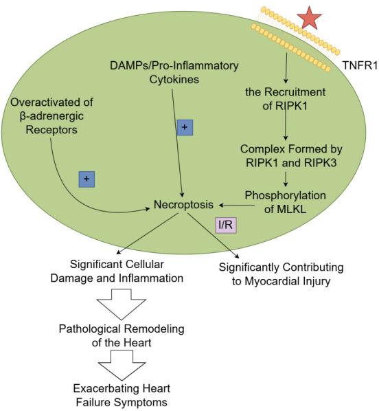 https://cdn.ncbi.nlm.nih.gov/pmc/blobs/bda6/12326417/584c70a88e4f/2153-8174-26-7-38407-g3.jpg