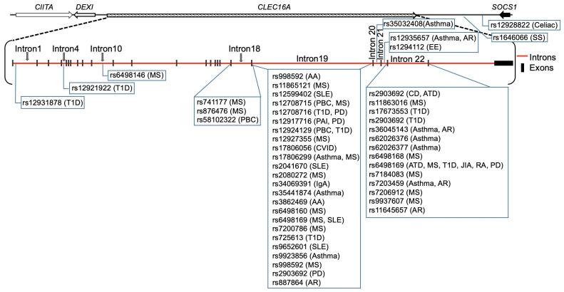 https://cdn.ncbi.nlm.nih.gov/pmc/blobs/bdaa/10179542/9fbf8e589a8f/ijms-24-08224-g003.jpg