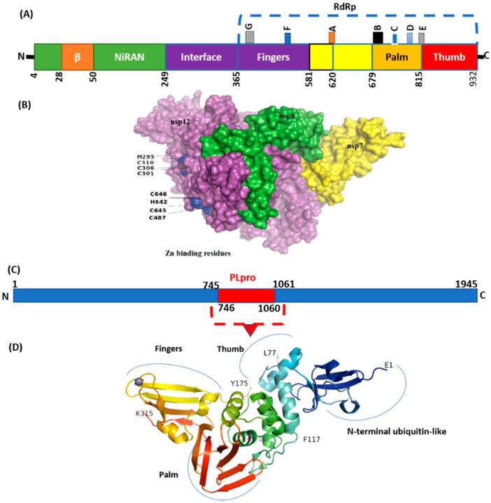 https://cdn.ncbi.nlm.nih.gov/pmc/blobs/bdaa/8951394/3f273f309c37/genes-13-00552-g006.jpg