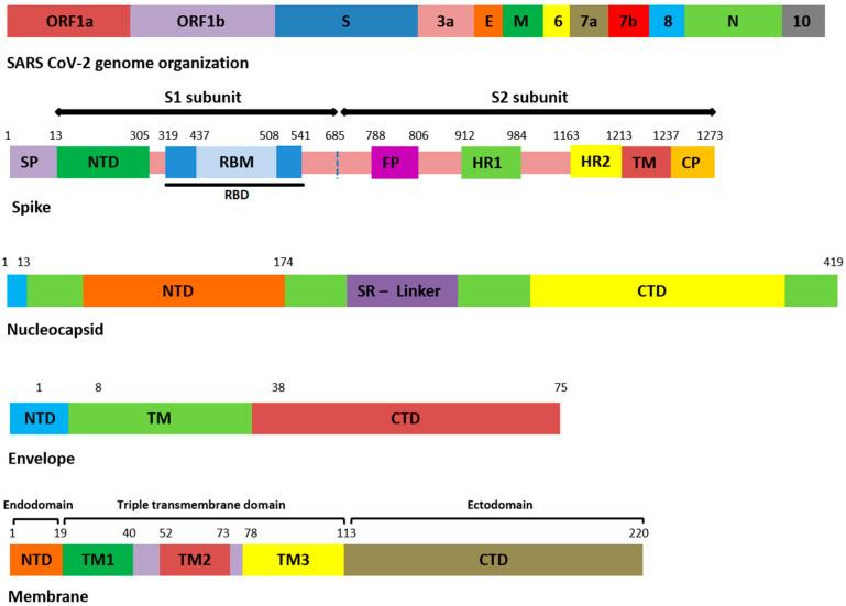 https://cdn.ncbi.nlm.nih.gov/pmc/blobs/bdaa/8951394/3f43f3fc556f/genes-13-00552-g001.jpg