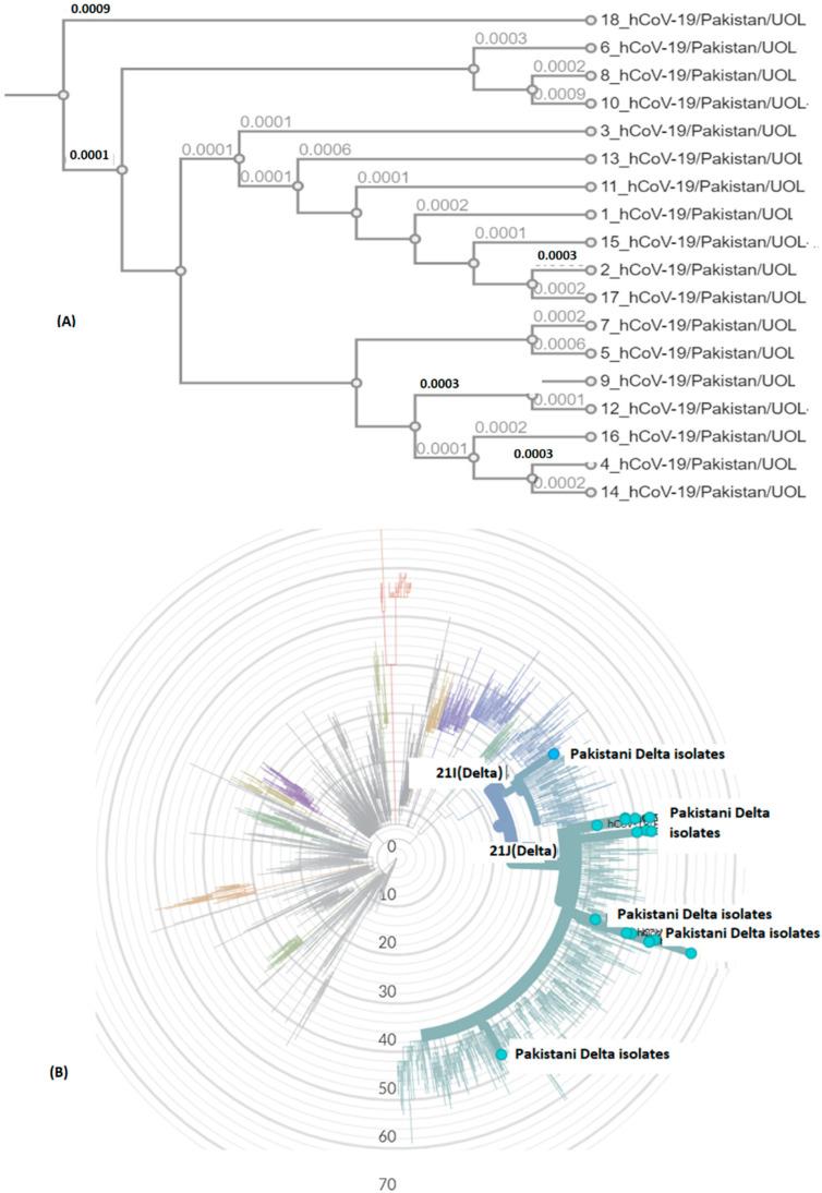 https://cdn.ncbi.nlm.nih.gov/pmc/blobs/bdaa/8951394/a95161df90f5/genes-13-00552-g005.jpg
