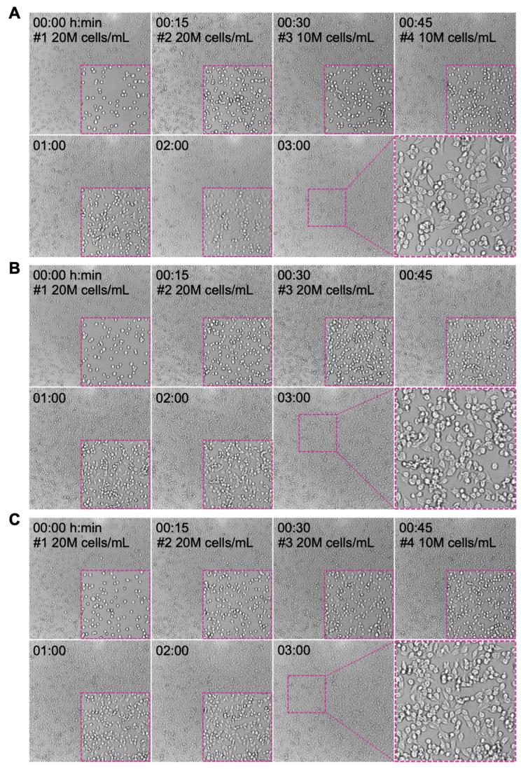 https://cdn.ncbi.nlm.nih.gov/pmc/blobs/bdab/9855465/165488a33930/biosensors-13-00095-g004.jpg