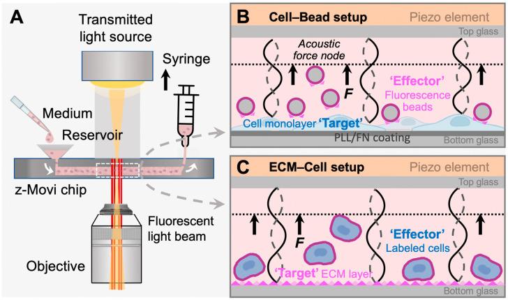 https://cdn.ncbi.nlm.nih.gov/pmc/blobs/bdab/9855465/db3e763b6da5/biosensors-13-00095-g001.jpg