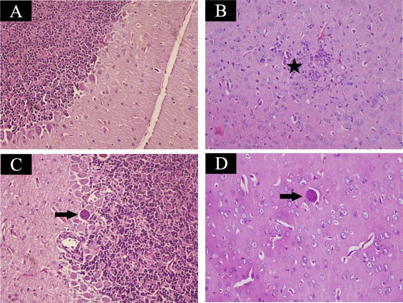 https://cdn.ncbi.nlm.nih.gov/pmc/blobs/bdad/8340781/fca35fa1959c/fimmu-12-681242-g001.jpg