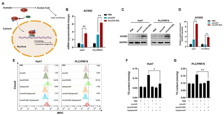 https://cdn.ncbi.nlm.nih.gov/pmc/blobs/bdae/12387248/aa208befd37c/marinedrugs-23-00297-g004.jpg