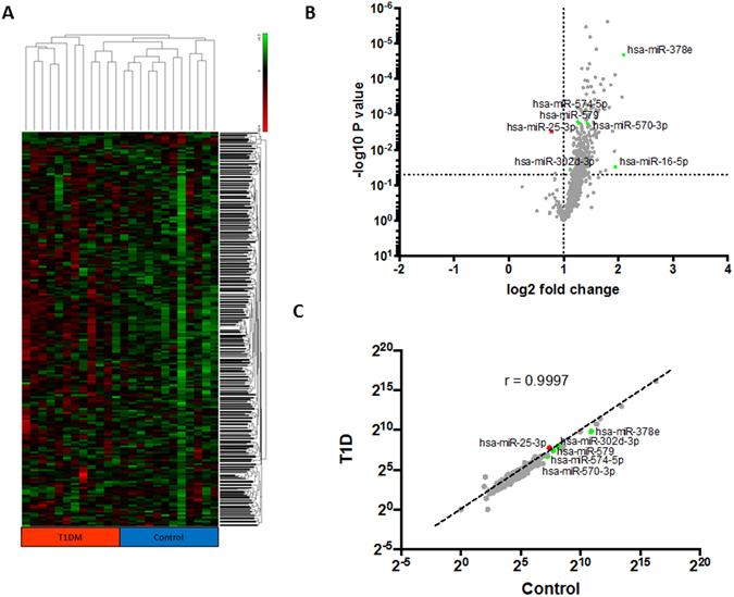 https://cdn.ncbi.nlm.nih.gov/pmc/blobs/bdae/5519761/4c98072c84b4/41598_2017_5787_Fig2_HTML.jpg
