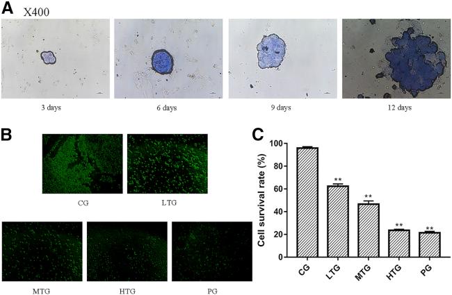 https://cdn.ncbi.nlm.nih.gov/pmc/blobs/bdb0/6551555/d512141fe48f/gr1.jpg