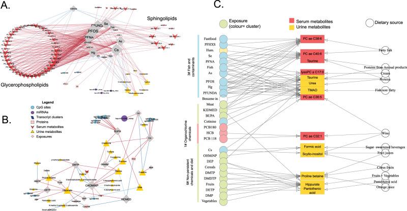 https://cdn.ncbi.nlm.nih.gov/pmc/blobs/bdb1/9678903/85afe5d51362/41467_2022_34422_Fig7_HTML.jpg