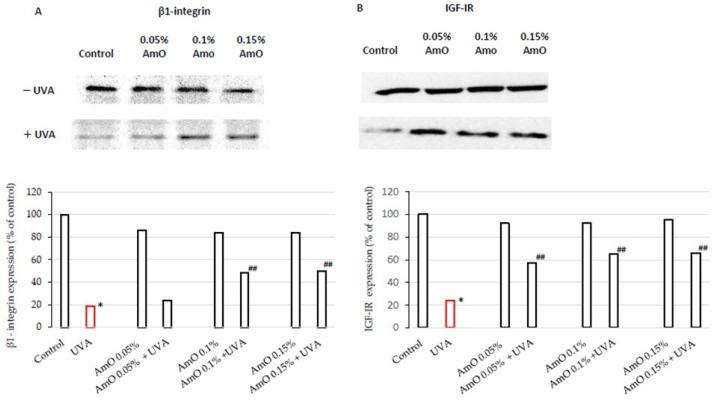 https://cdn.ncbi.nlm.nih.gov/pmc/blobs/bdb6/10815470/335058b8c5b1/ijms-25-00925-g003.jpg