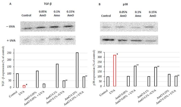 https://cdn.ncbi.nlm.nih.gov/pmc/blobs/bdb6/10815470/73d5ef0e6cd3/ijms-25-00925-g005.jpg
