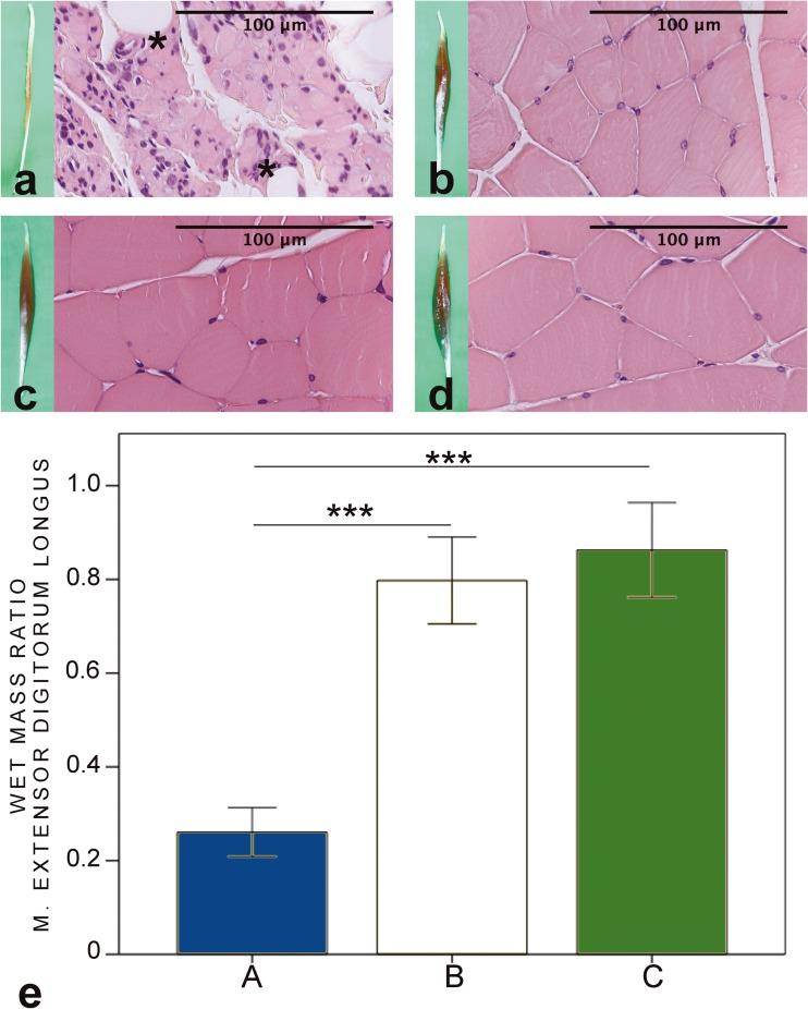 https://cdn.ncbi.nlm.nih.gov/pmc/blobs/bdb6/6431300/848885e43399/701_2019_3835_Fig6_HTML.jpg