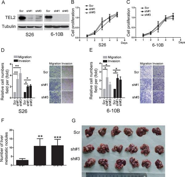 https://cdn.ncbi.nlm.nih.gov/pmc/blobs/bdb7/4745723/ca154cfabac4/oncotarget-06-29240-g003.jpg