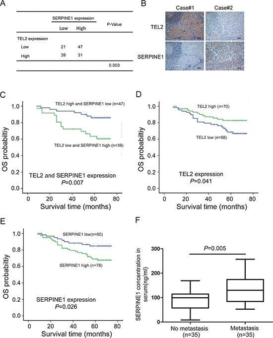 https://cdn.ncbi.nlm.nih.gov/pmc/blobs/bdb7/4745723/f18688a4a873/oncotarget-06-29240-g007.jpg