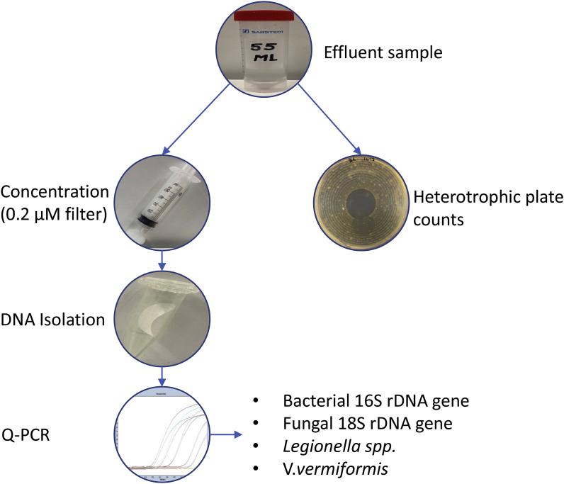 https://cdn.ncbi.nlm.nih.gov/pmc/blobs/bdb8/10279787/ff17a79ee28c/gr1.jpg