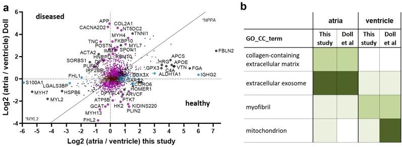 https://cdn.ncbi.nlm.nih.gov/pmc/blobs/bdb8/8695579/3b0a0db92575/41598_2021_3907_Fig5_HTML.jpg