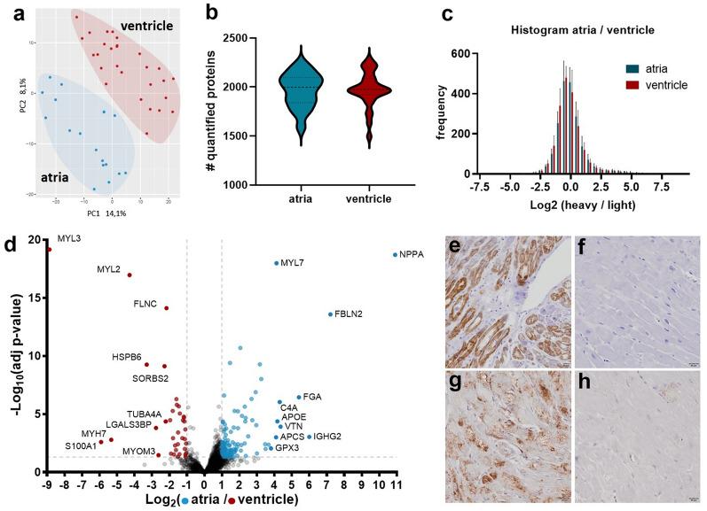 https://cdn.ncbi.nlm.nih.gov/pmc/blobs/bdb8/8695579/f3b591d31fa5/41598_2021_3907_Fig4_HTML.jpg