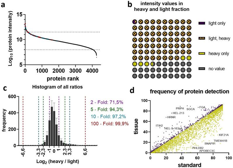 https://cdn.ncbi.nlm.nih.gov/pmc/blobs/bdb8/8695579/ffd7301db656/41598_2021_3907_Fig3_HTML.jpg