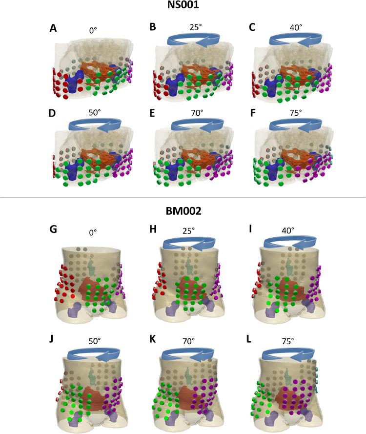 https://cdn.ncbi.nlm.nih.gov/pmc/blobs/bdb9/8361065/9226d9c012b6/gr3.jpg