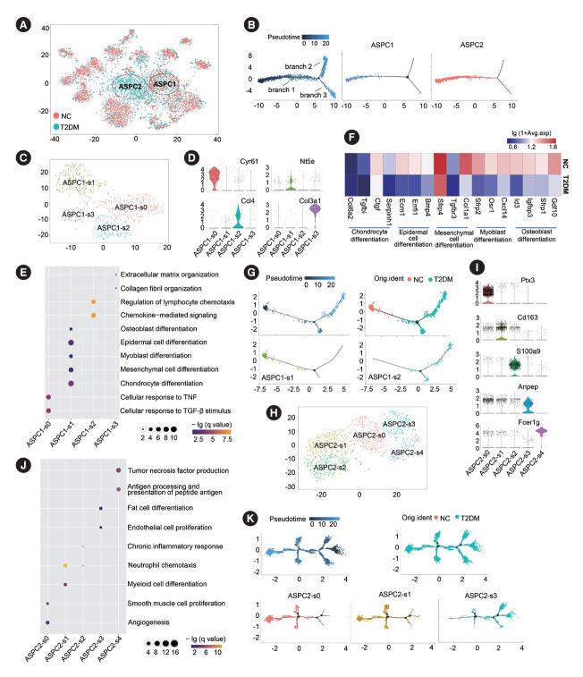 https://cdn.ncbi.nlm.nih.gov/pmc/blobs/bdba/11449828/780bc6fe5cd7/dmj-2023-0278f3.jpg