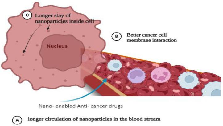 https://cdn.ncbi.nlm.nih.gov/pmc/blobs/bdbb/10052895/2913f39a8e58/pharmaceutics-15-01025-g002.jpg