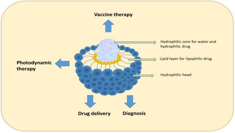 https://cdn.ncbi.nlm.nih.gov/pmc/blobs/bdbb/10052895/36fd17b52075/pharmaceutics-15-01025-g007.jpg