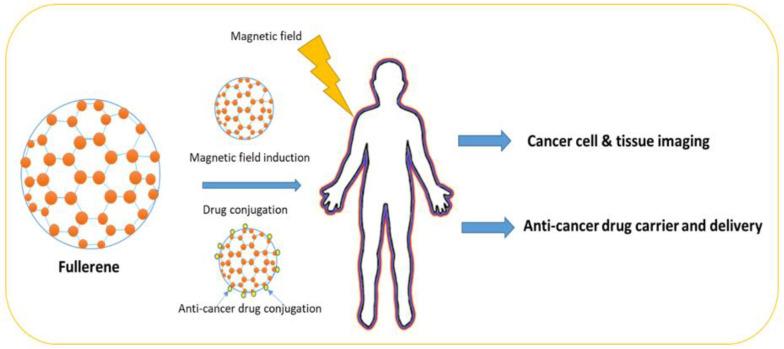 https://cdn.ncbi.nlm.nih.gov/pmc/blobs/bdbb/10052895/bb6ce315f718/pharmaceutics-15-01025-g005.jpg