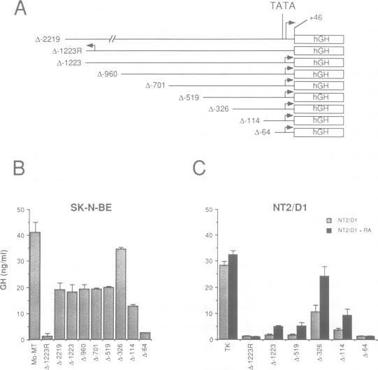 https://cdn.ncbi.nlm.nih.gov/pmc/blobs/bdbb/556447/ccb50c20ce07/emboj00086-0267-a.jpg