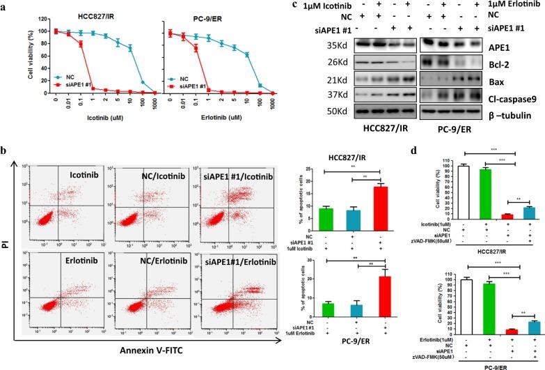 https://cdn.ncbi.nlm.nih.gov/pmc/blobs/bdbb/6208429/1fee68a368bc/41419_2018_1162_Fig3_HTML.jpg