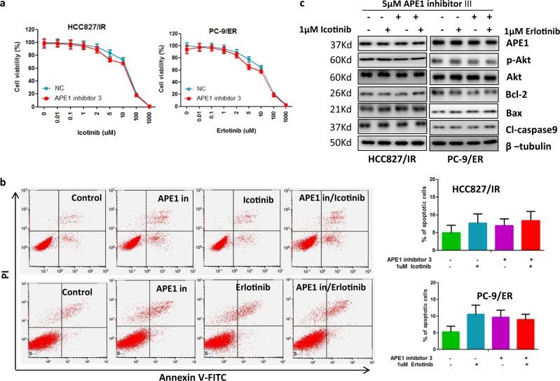 https://cdn.ncbi.nlm.nih.gov/pmc/blobs/bdbb/6208429/3c8ebeadb5ec/41419_2018_1162_Fig6_HTML.jpg