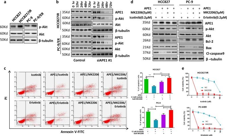 https://cdn.ncbi.nlm.nih.gov/pmc/blobs/bdbb/6208429/b89a2d8daceb/41419_2018_1162_Fig5_HTML.jpg