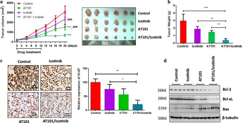https://cdn.ncbi.nlm.nih.gov/pmc/blobs/bdbb/6208429/fcda06d0c902/41419_2018_1162_Fig4_HTML.jpg
