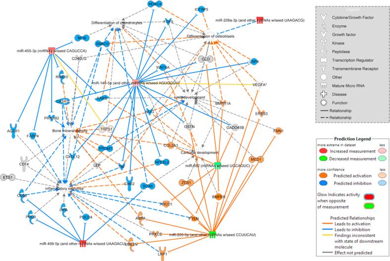 https://cdn.ncbi.nlm.nih.gov/pmc/blobs/bdbb/9718179/00d056e10dc5/figs1.jpg