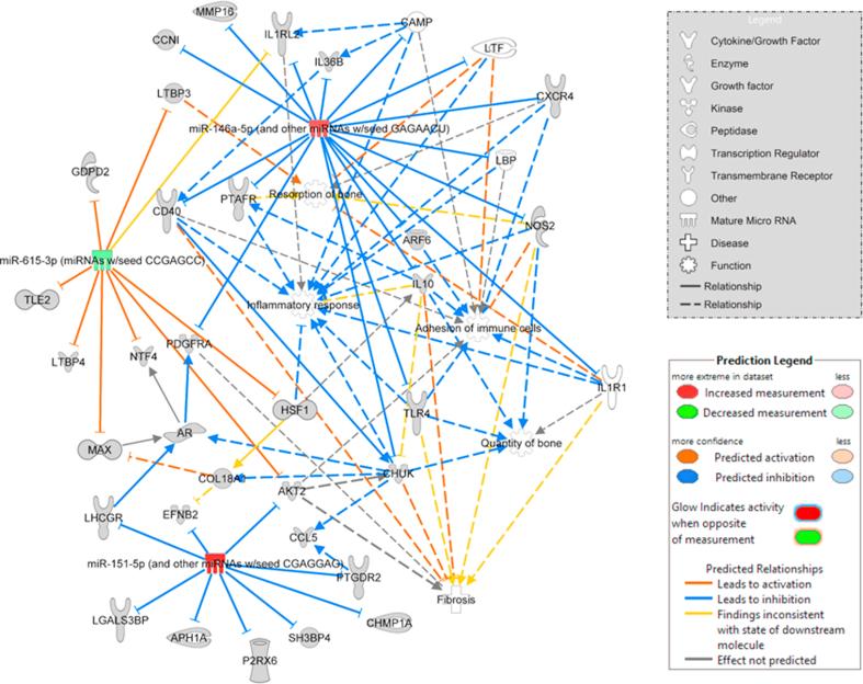 https://cdn.ncbi.nlm.nih.gov/pmc/blobs/bdbb/9718179/62818e8aca0d/figs2.jpg