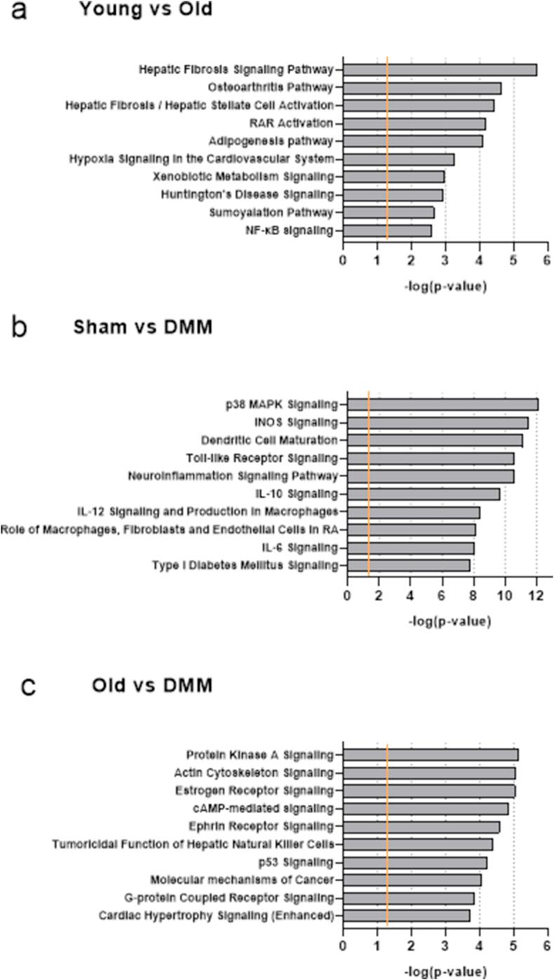 https://cdn.ncbi.nlm.nih.gov/pmc/blobs/bdbb/9718179/b74e824e1779/gr4.jpg